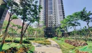 Cảnh quan vườn nội khu căn hộ cao cấp của KĐT Starlke
