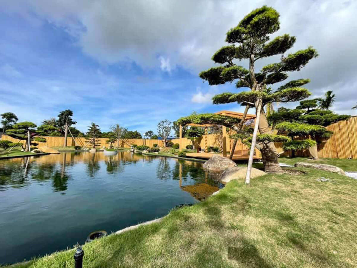 Khuôn viên rộng lớn trong khi đô thị Times City